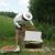 Yes she's in shorts prying apart a bee hive. Scary, I know.